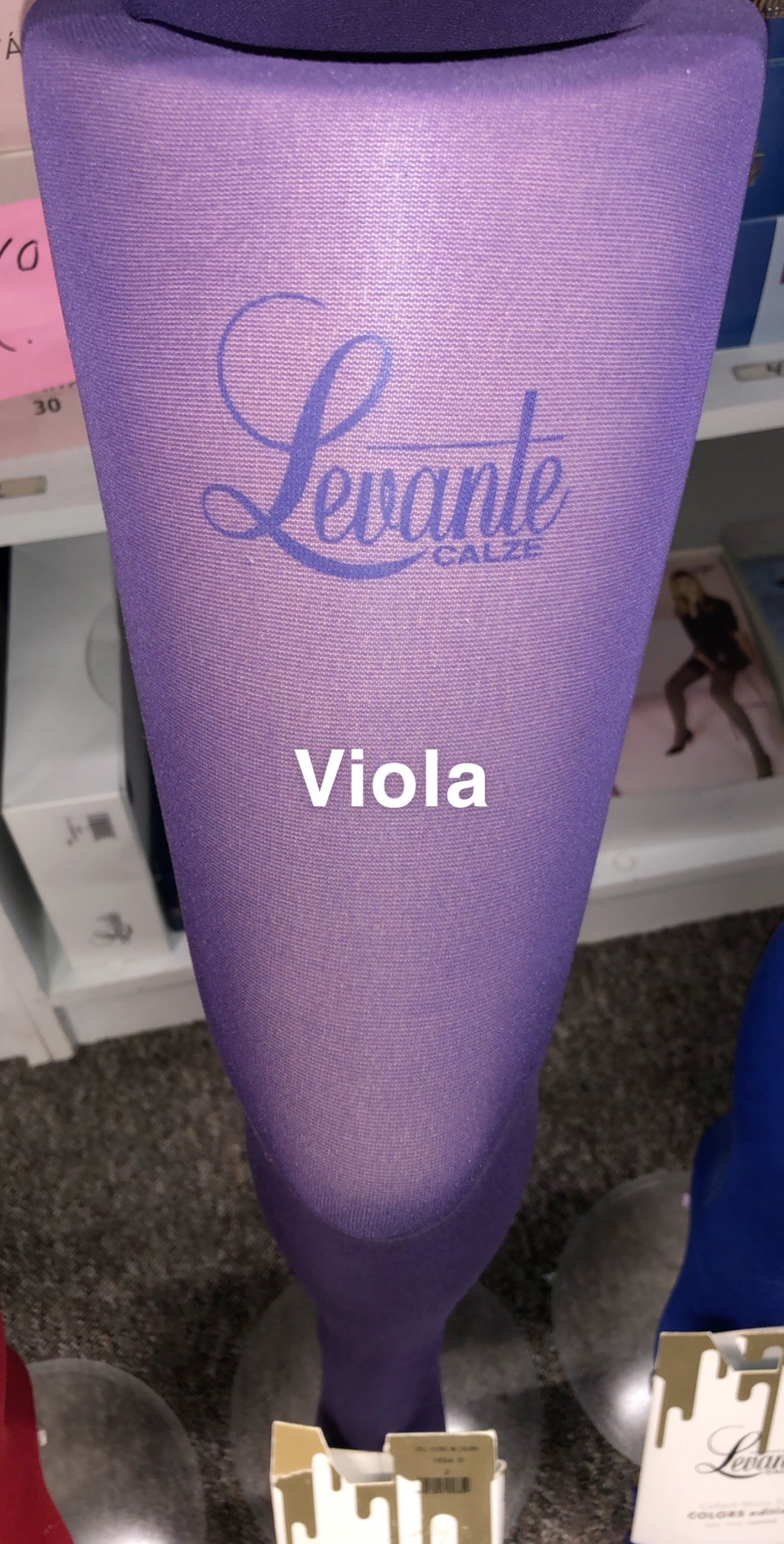 Viola